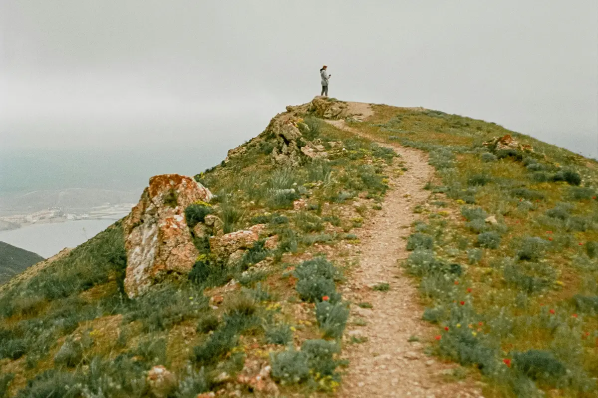 Nowa architektura – jak to zrobiliśmy w marcu